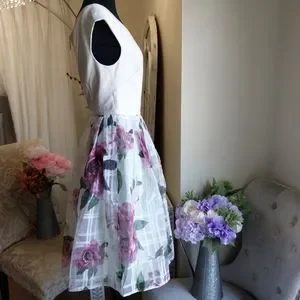 Licious magnificent bardot dress discount